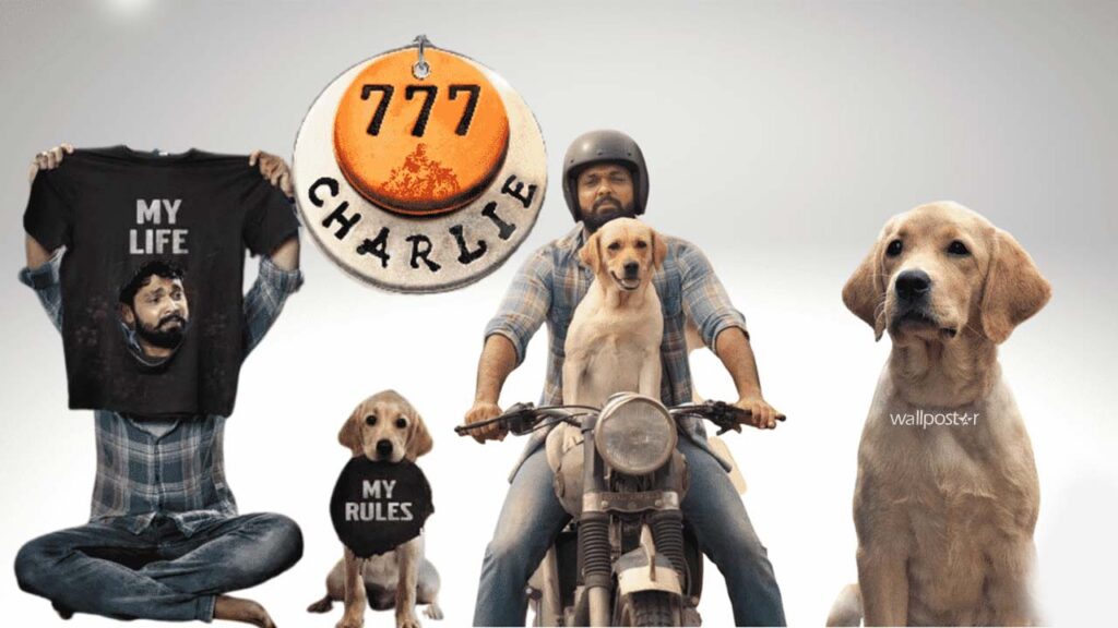 Rakshit Shetty's 777 Charlie picked up by Voot Select
