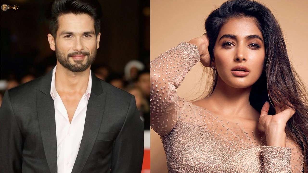 Shahid to pair up with Pooja?