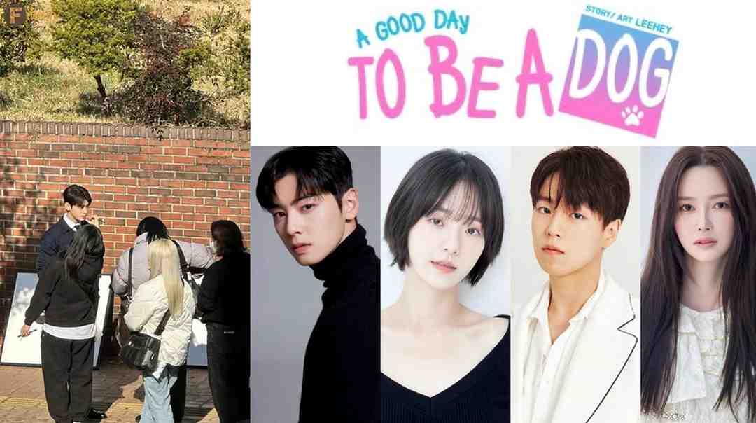 MBC confirms A Good Day To Be A Dog release date