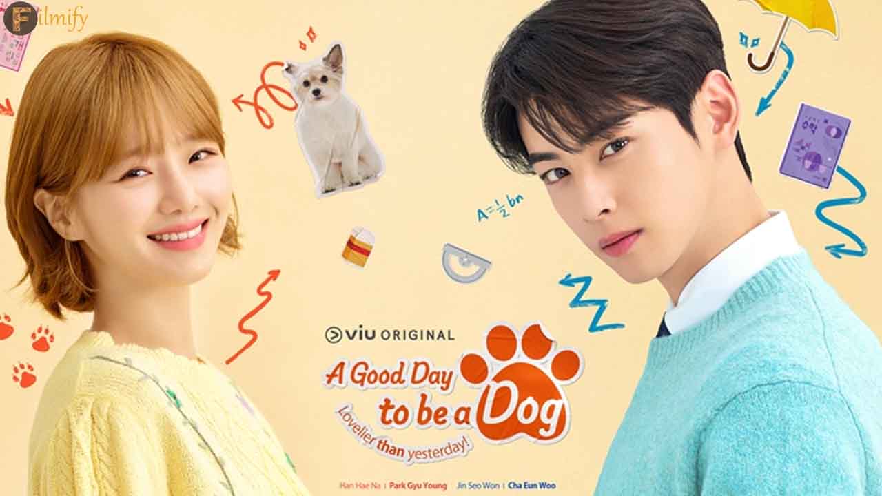 Kdrama, A Good Day To Be Dog stops airing this week, Here's why