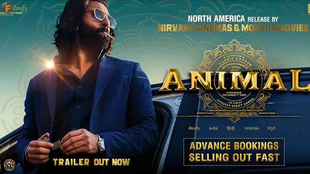Animal Movie USA advance sales are roaring! Read to know specifics.