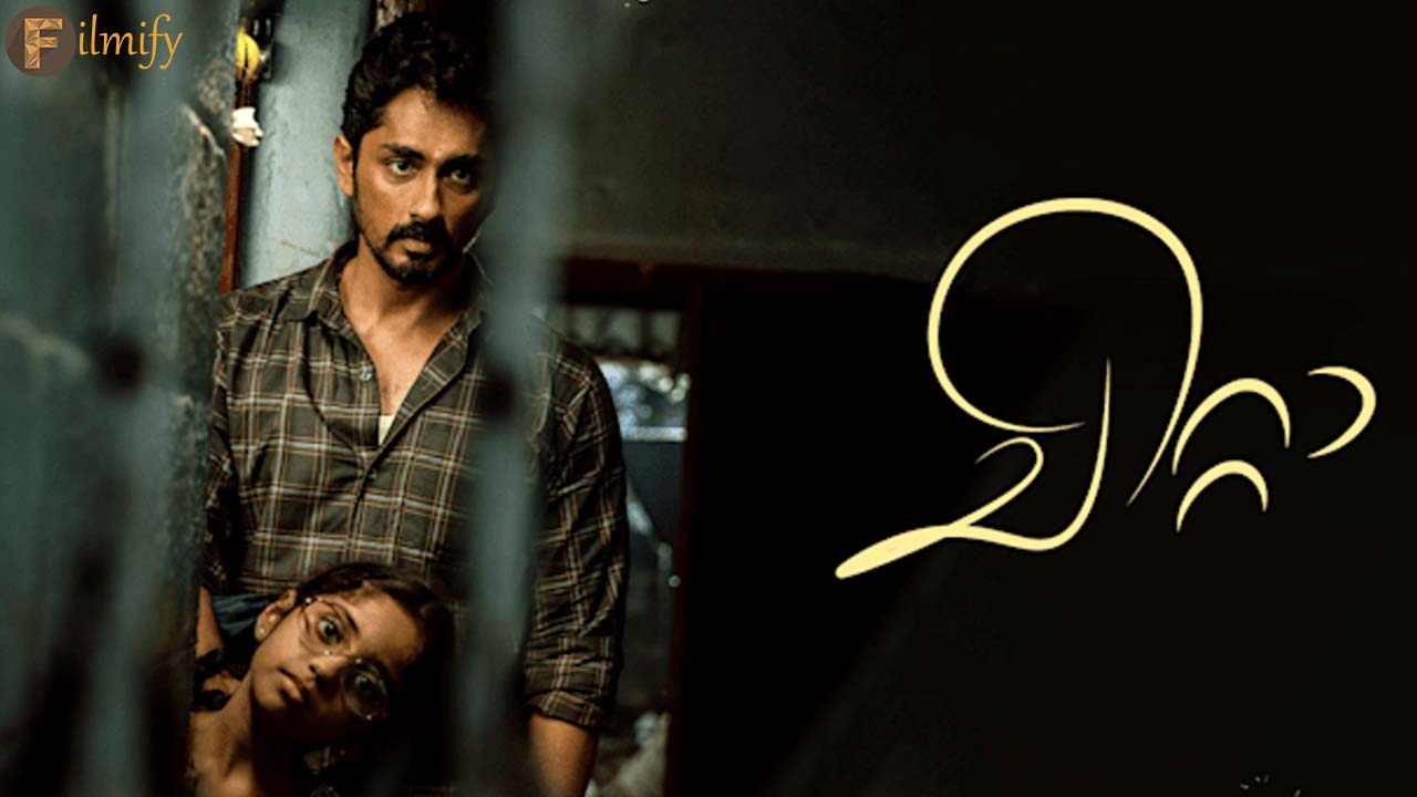 Nayanthara reviews Sidharth's Chitha, latest OTT release
