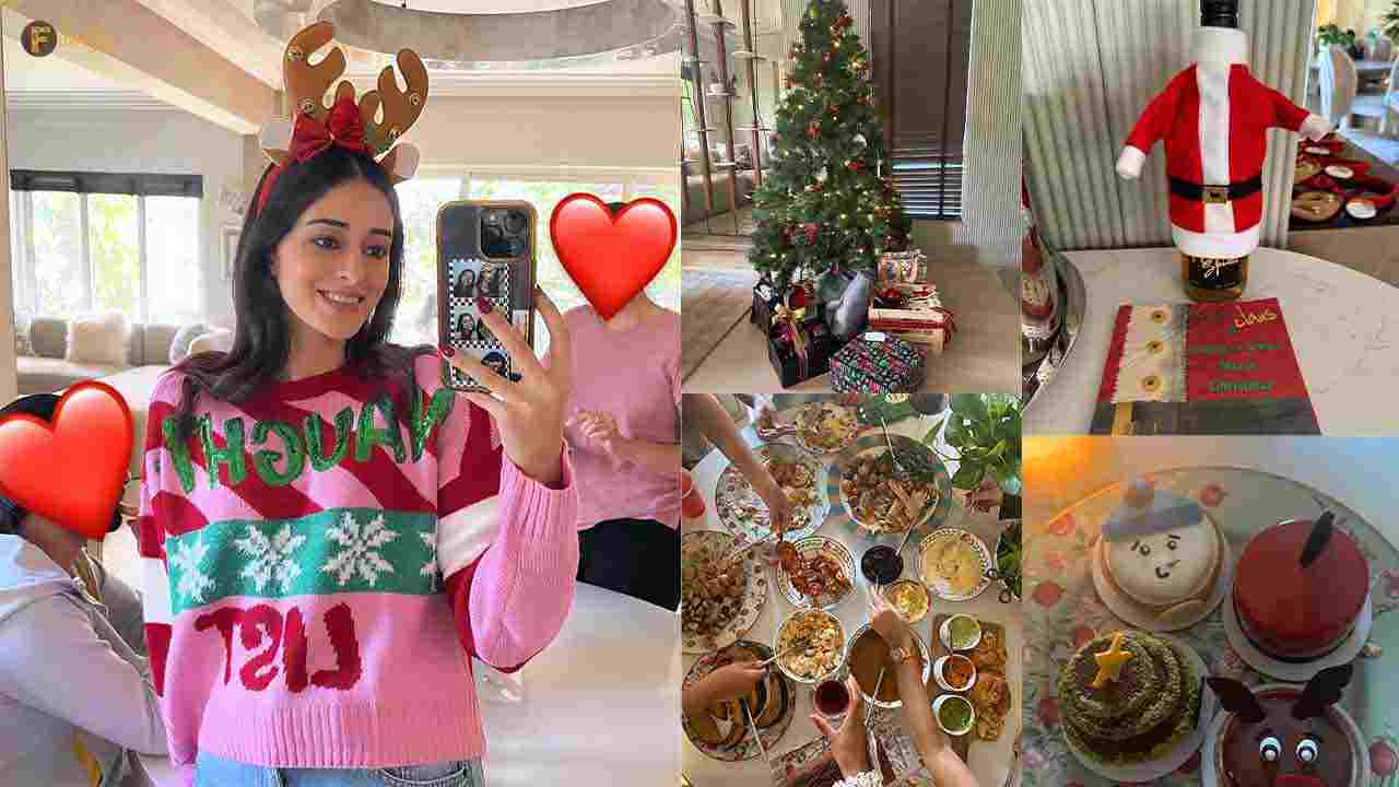 Ananya Panday's first Christmas party at new home!