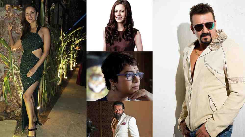 Less Screentime-Big Impact: Bollywood actors 2023