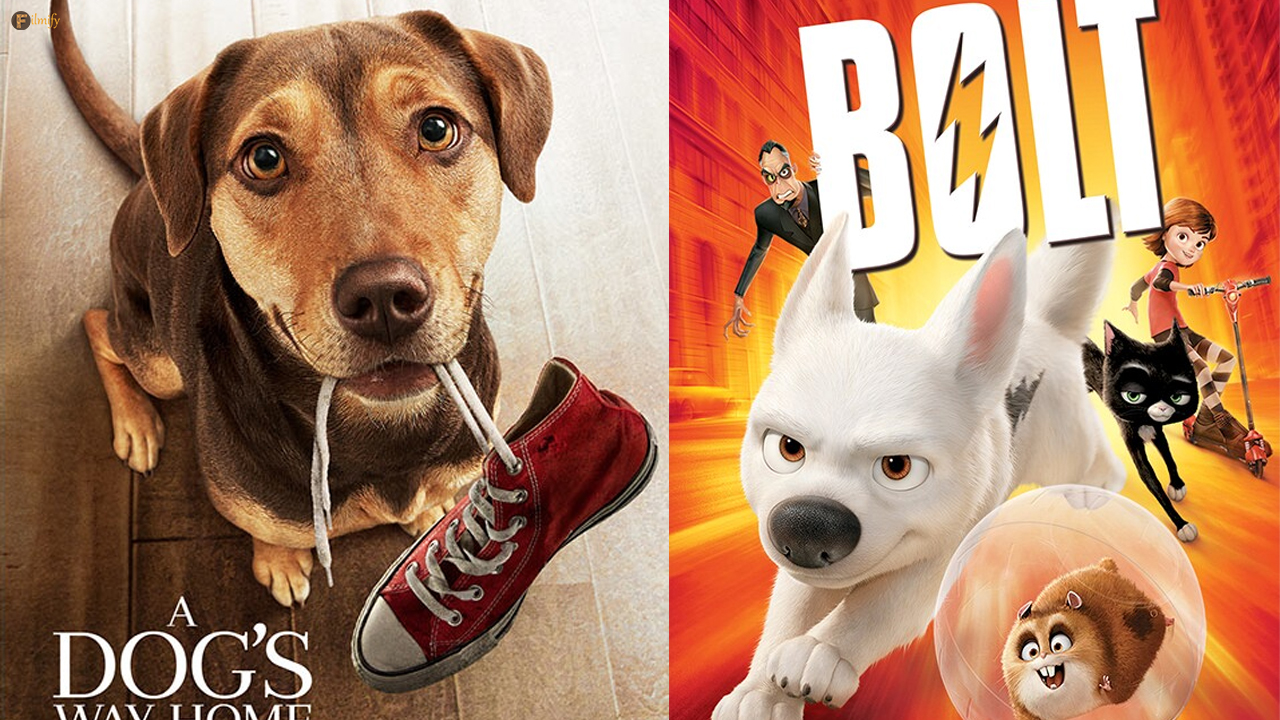 Unleash the Joy: 10 Tail-Wagging Dog Movies for a Rewarding Weekend