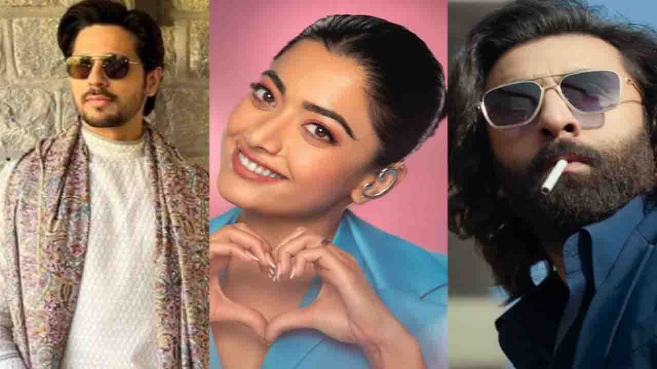 Rashmika reveals what she thinks of Ranbir Kapoor and Sidharth Malhotra