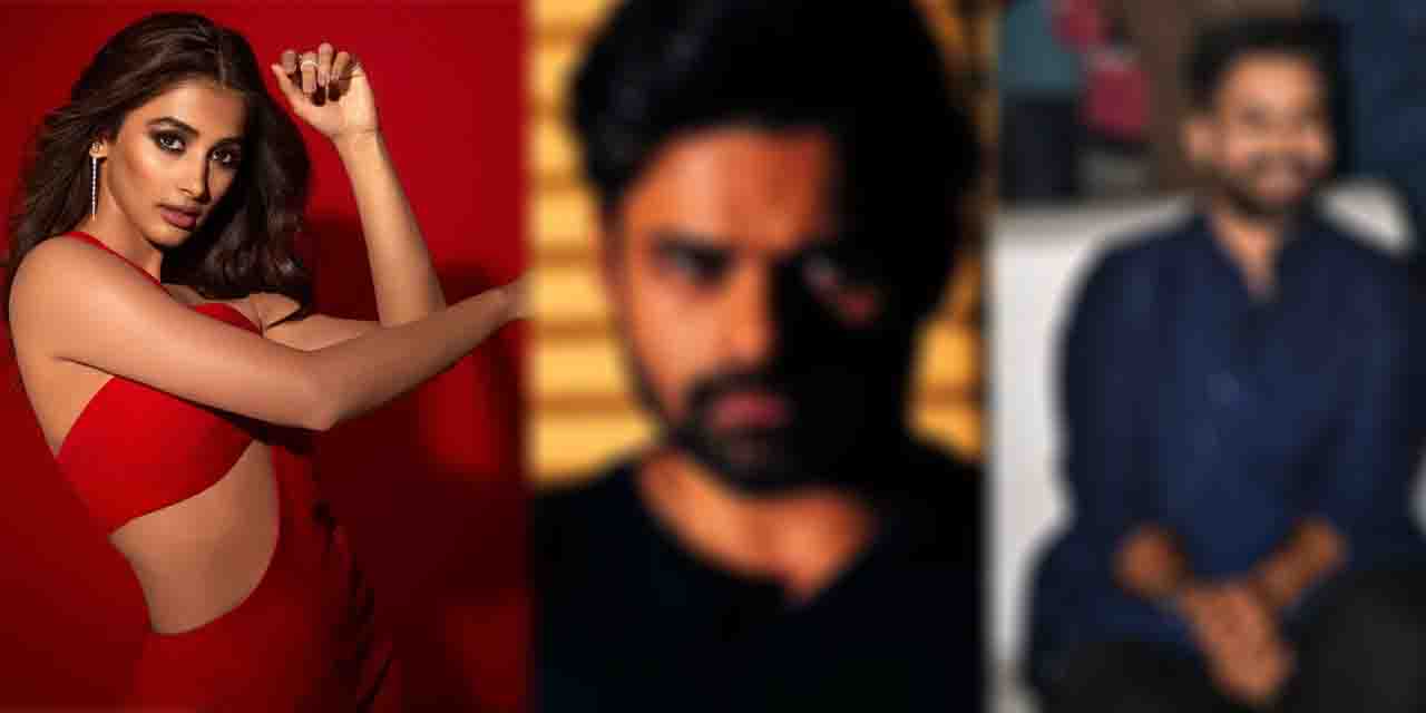 Exclusive: Pooja Hegde declines to work in Tollywood alongside star heros