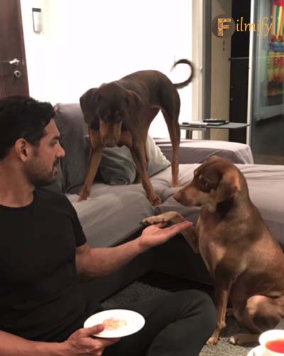 Bollywood Celebrities And Their Pet Dogs