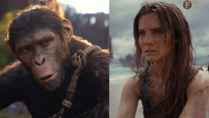 Kingdom Of The Planet Of The Apes Box Office